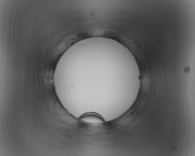 X0000111500525200907281254