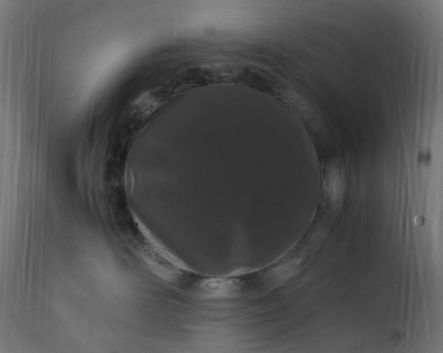 X0000111500526200907281254