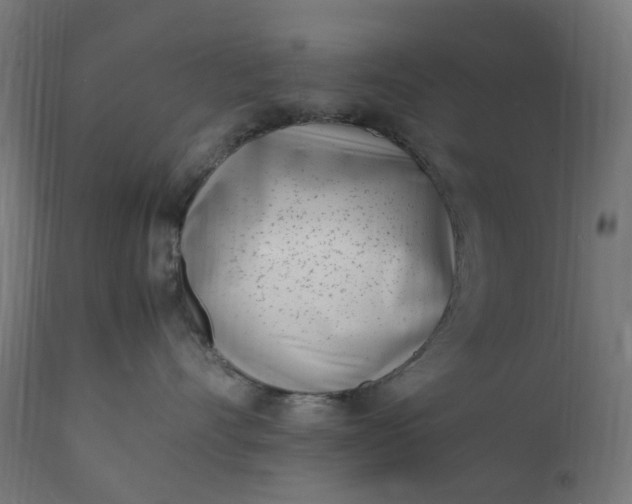 X0000111500528200907281254