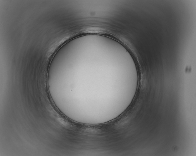 X0000111500529200907281253