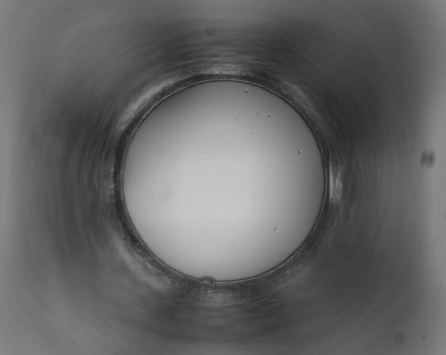 X0000111500531200907281253