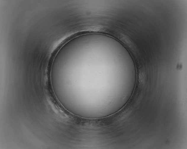 X0000111500532200907281253