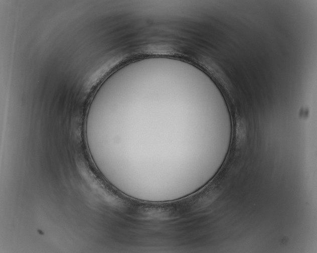 X0000111500533200907281253