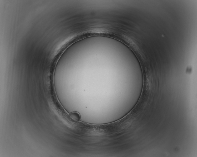 X0000111500535200907281253