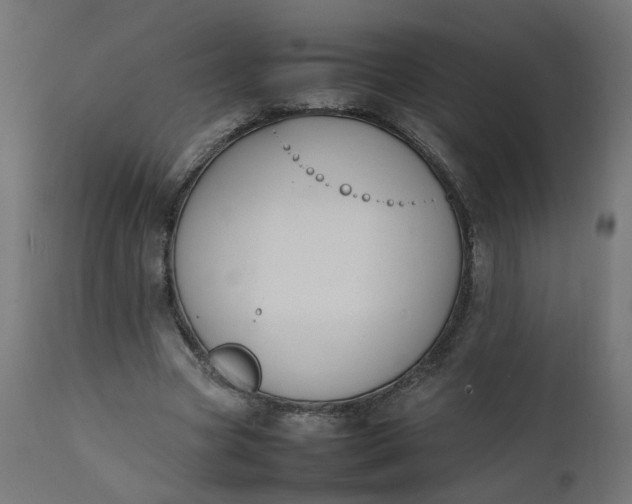 X0000111500537200907281253