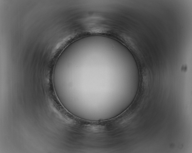 X0000111500539200907281253