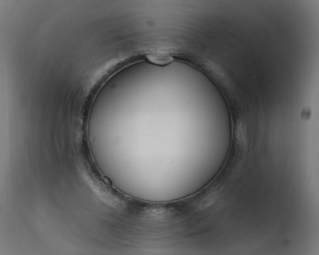 X0000111500540200907281253