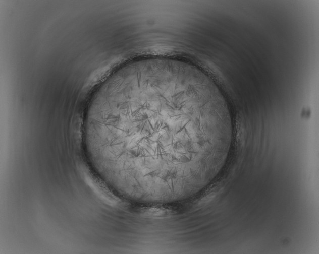 X0000111500542200907281253