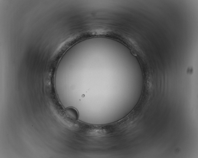 X0000111500543200907281254