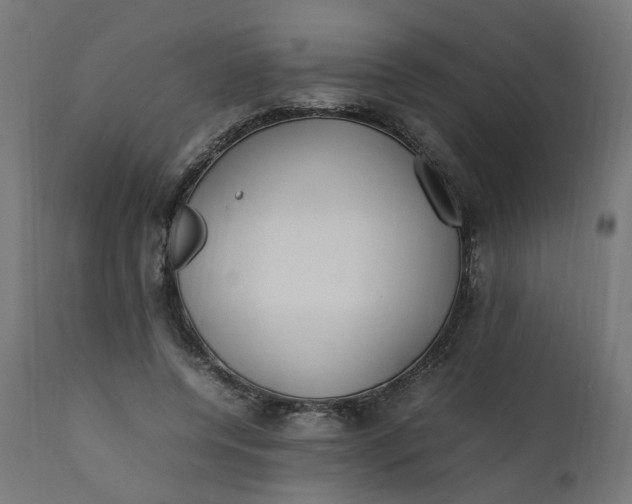 X0000111500544200907281254