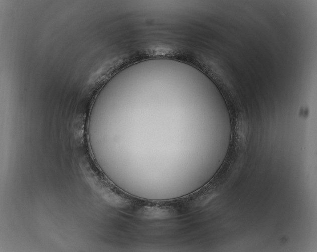 X0000111500545200907281254