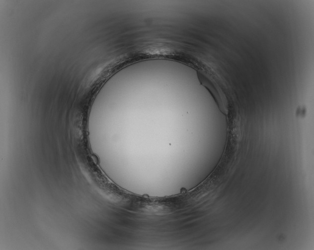 X0000111500547200907281254