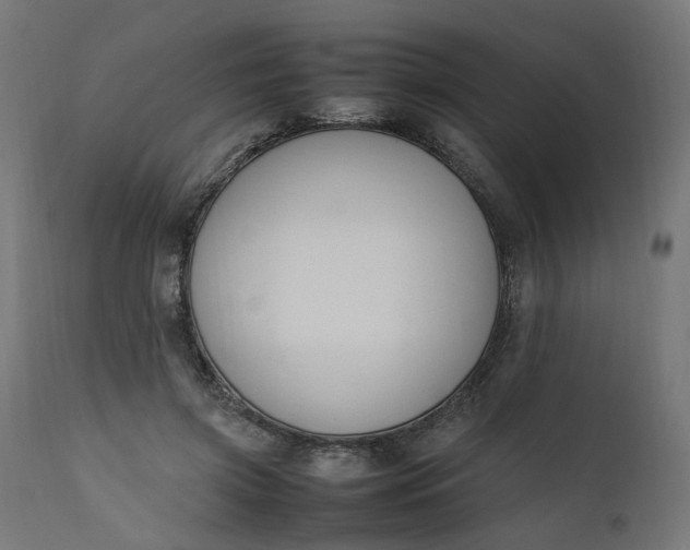 X0000111500549200907281254