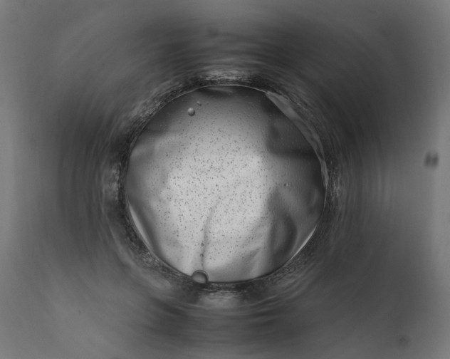 X0000111500551200907281254