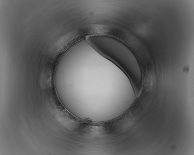 X0000111500552200907281254