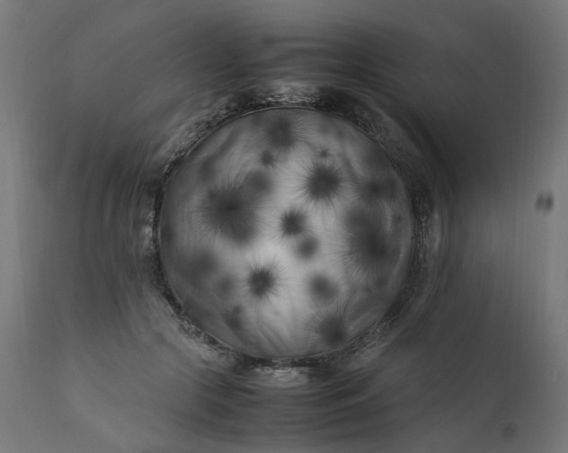 X0000111500553200907281254