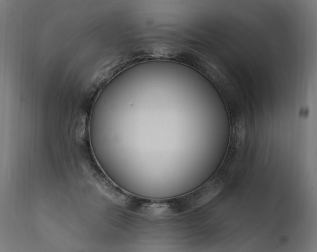 X0000111500554200907281254