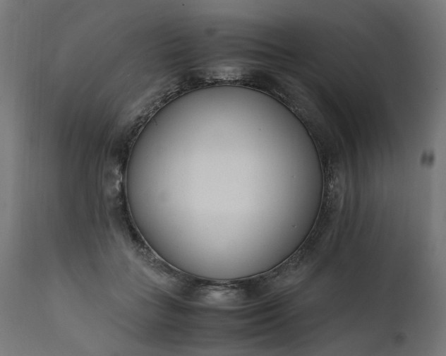 X0000111500555200907281254