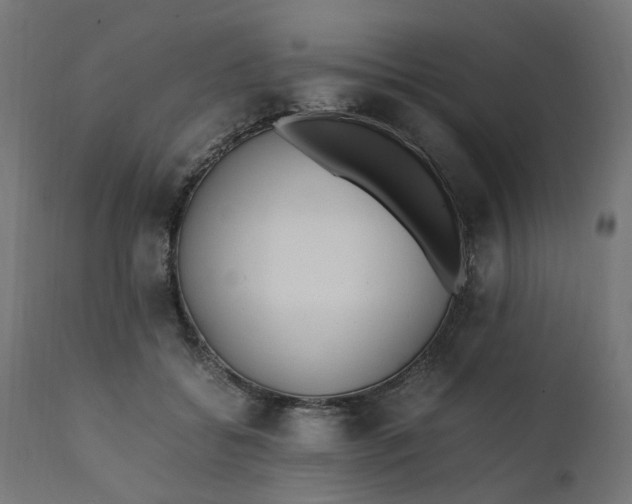 X0000111500556200907281254