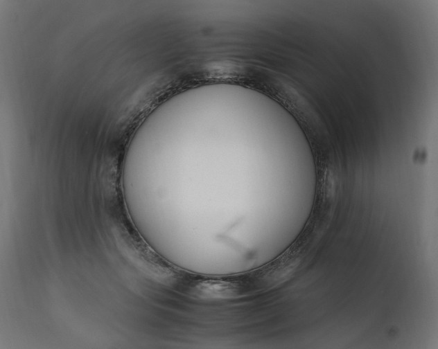 X0000111500557200907281254