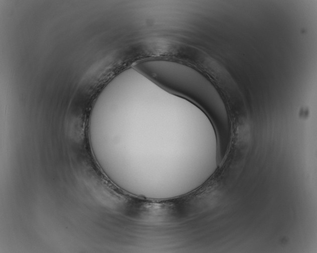 X0000111500558200907281254