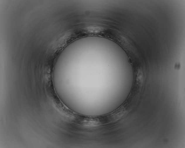 X0000111500559200907281254