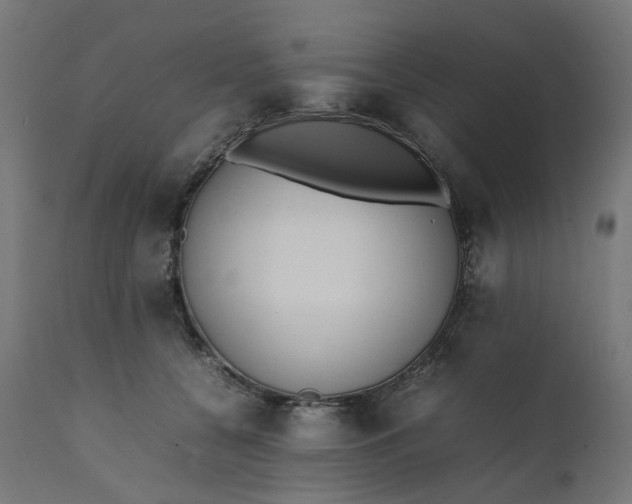 X0000111500560200907281254