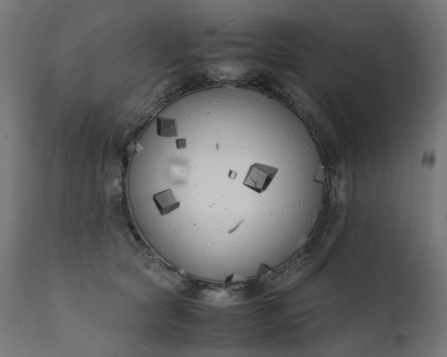 X0000111500561200907281254