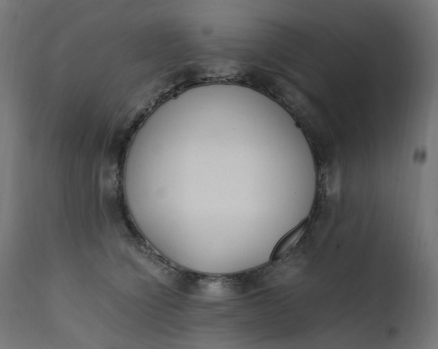 X0000111500564200907281254