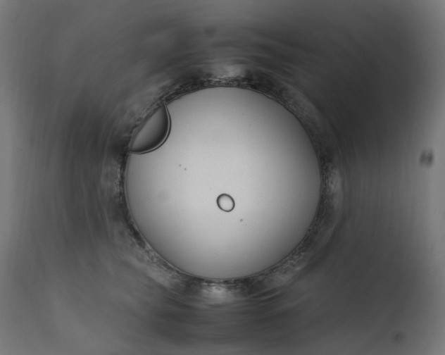 X0000111500565200907281254