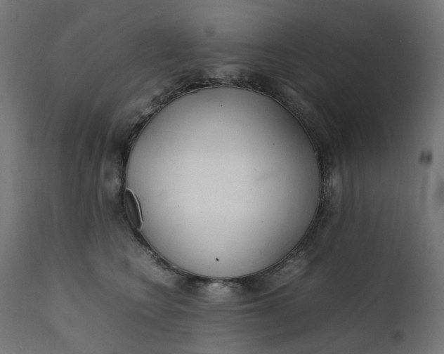 X0000111500566200907281254