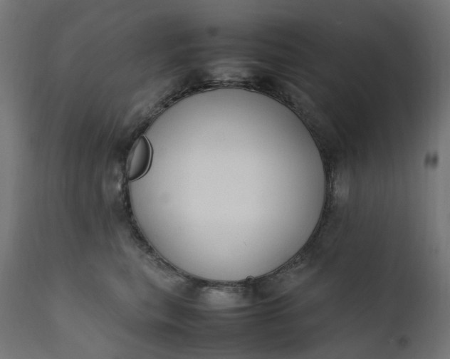 X0000111500567200907281254