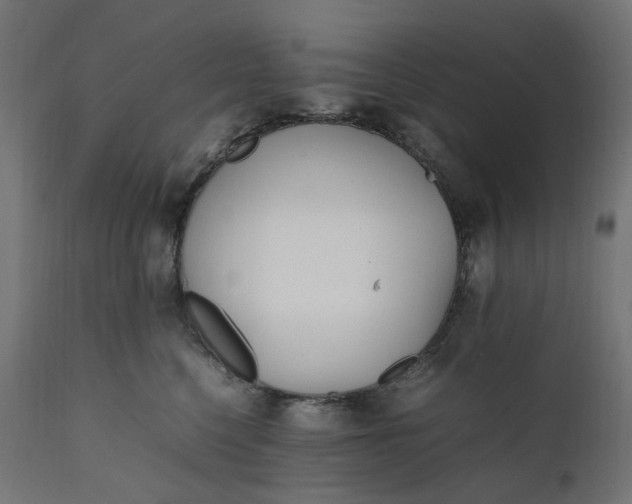 X0000111500568200907281254