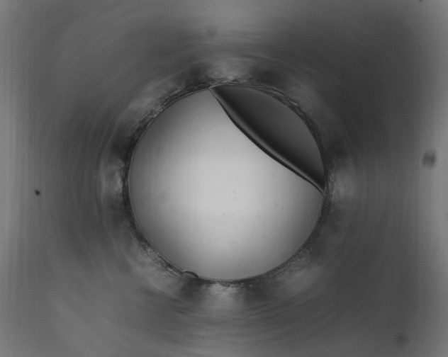 X0000111500570200907281254