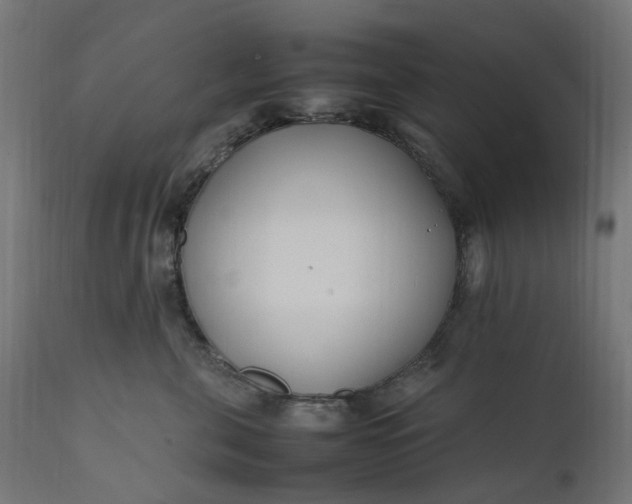 X0000111500571200907281254