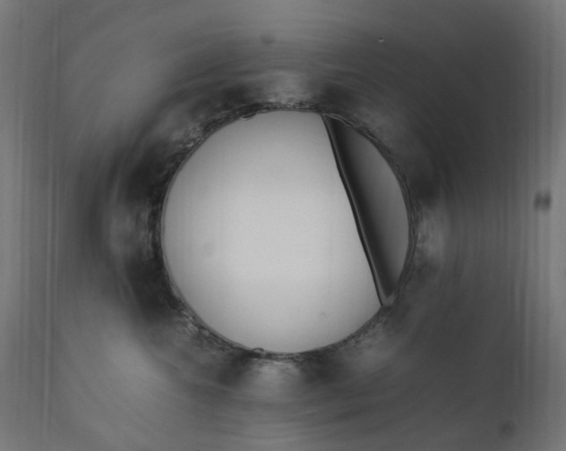 X0000111500572200907281254