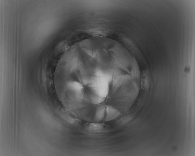 X0000111500573200907281254