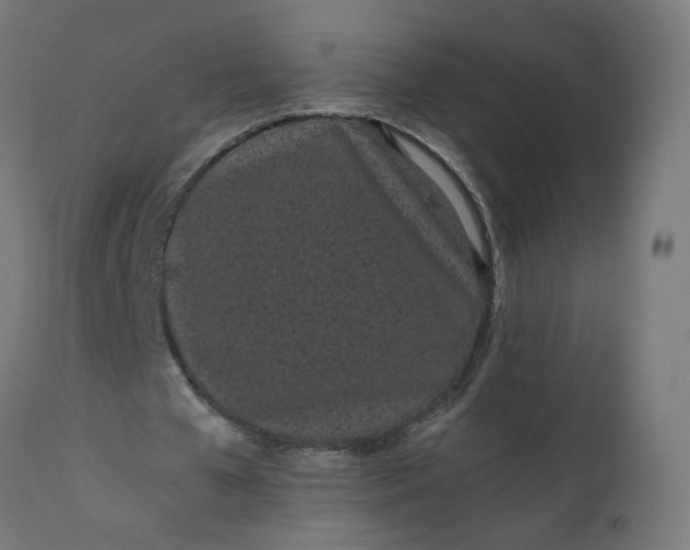 X0000111500577200907281253