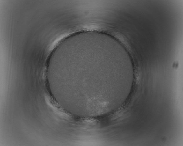 X0000111500583200907281253