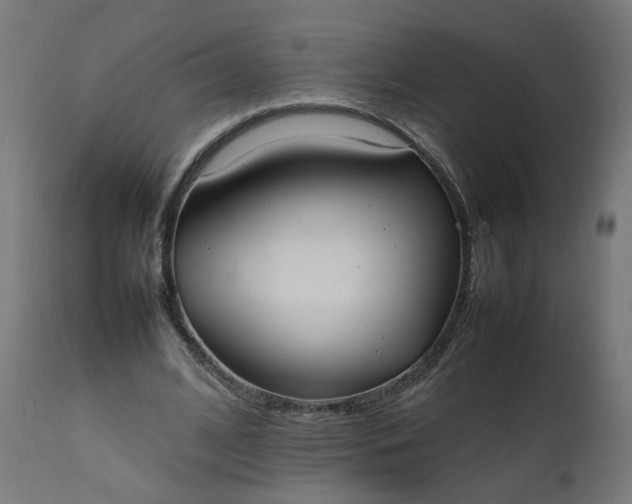 X0000111500584200907281253