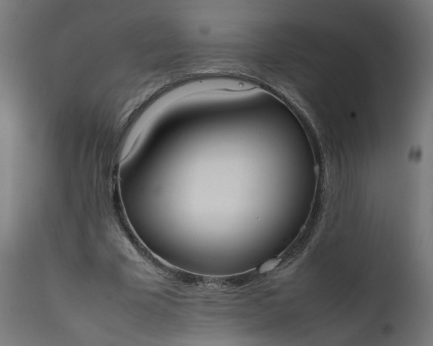 X0000111500585200907281253