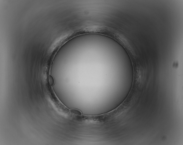 X0000111500586200907281253