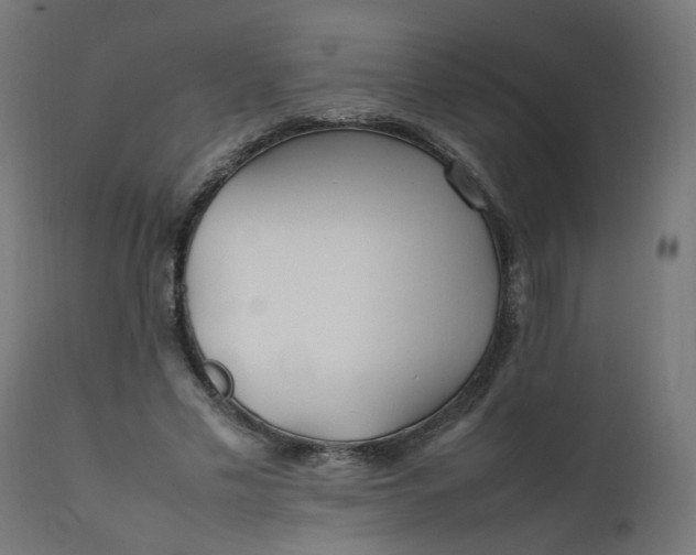 X0000111500589200907281253