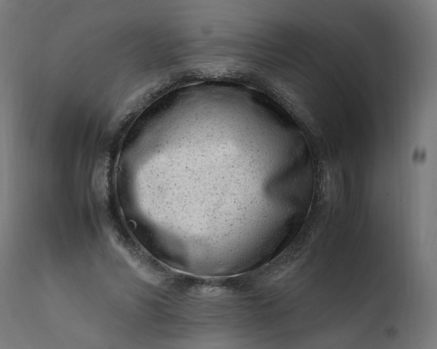 X0000111500590200907281253