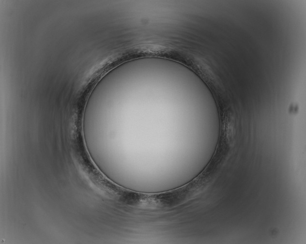 X0000111500591200907281253