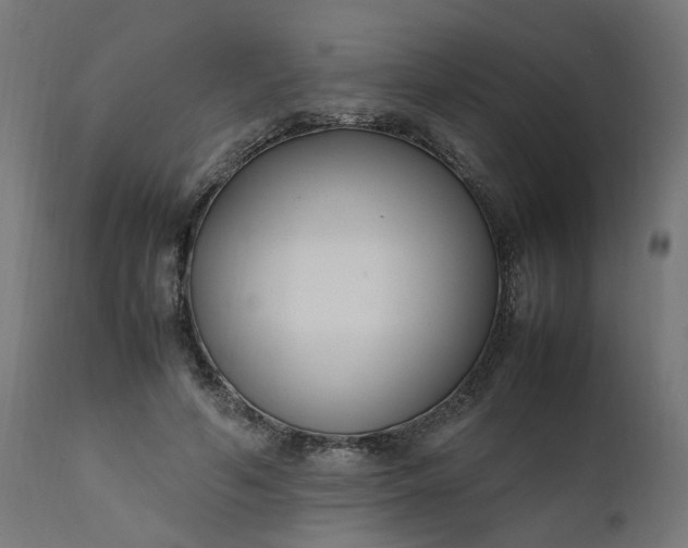 X0000111500594200907281253