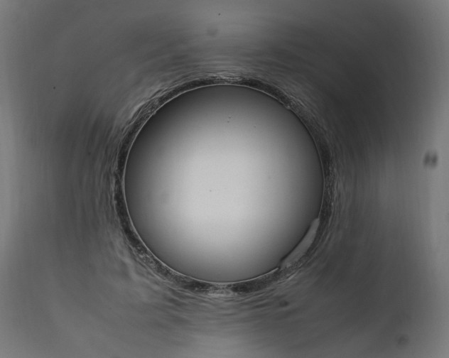 X0000111500595200907281253