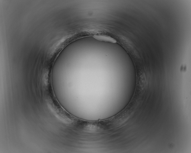 X0000111500596200907281253