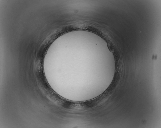 X0000111500597200907281253