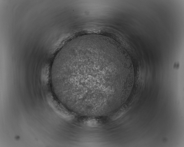 X0000111500600200907281253